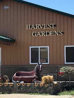 Harvest Gardens building exterior with a large kneeling horse sculpture outside