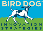 Bird Dog Innovation Strategies logo